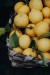 free-photo-of-jedlo-priroda-zlta-citron